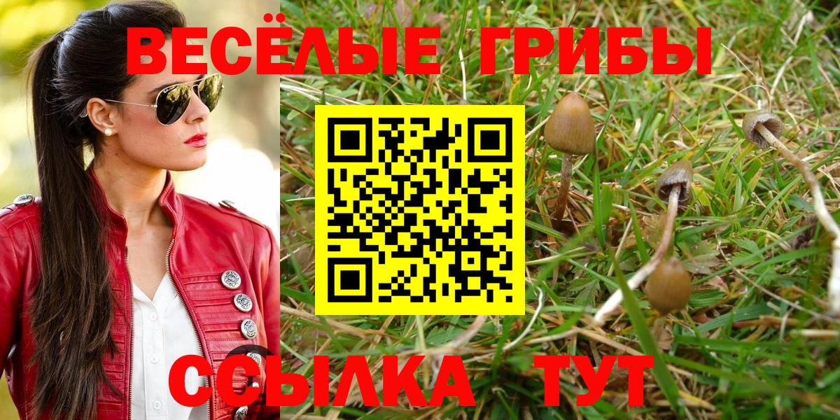 Галлюциногенные грибы Psilocybine cubensis  Галлюциногенные грибы ЛСД  закладки  Вход с VPN  Кстово 